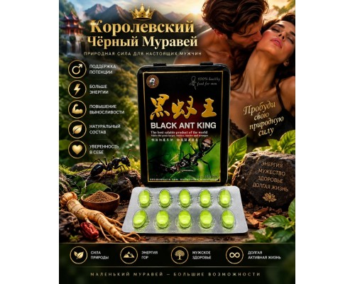 Купить Королевский Черный Муравей в Минске и Беларуси!