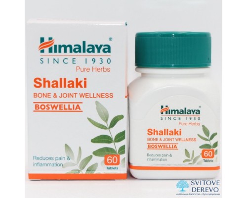Купить БАД Shallaki (60таб) в Минске!