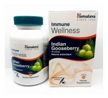 Купить  Indian Gooseberry (Amalaki) Himalaya, 60таб в Минске