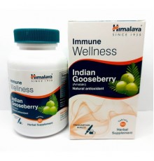 Купить  Indian Gooseberry (Amalaki) Himalaya, 60таб в Минске