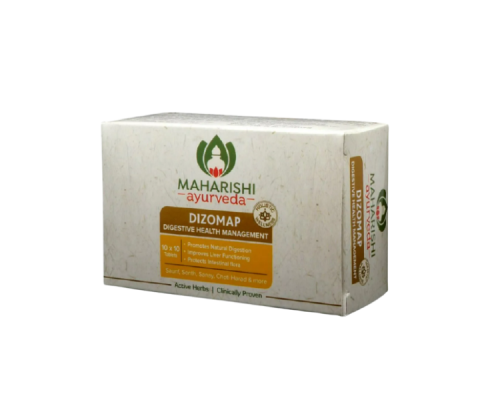 Дизомап (Dizomap) купить в Минске