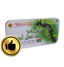 Africa Black Ant King- Африканский королевский черный муравей(10табл+10шар.)
