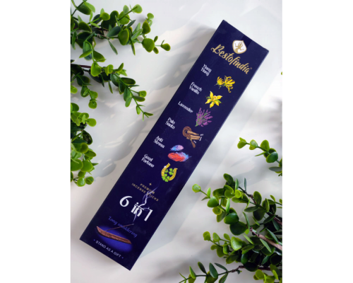 Ароматические Палочки 6 в 1 (Иланг Иланг, Французская ваниль, Лаванда, Пало Санто, Анти-стресс, Удача) с Подставкой 24 шт Bestofindia