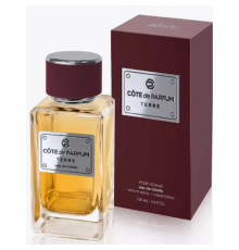 Туалетная Вода Мужская Parfum CodeTerre 100 мл