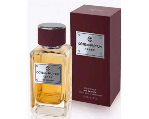 Туалетная Вода Мужская Parfum CodeTerre 100 мл
