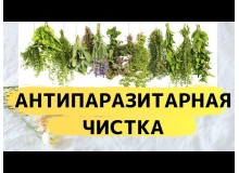 Защита и профилактика от паразитов