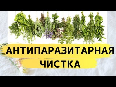 Защита и профилактика от паразитов